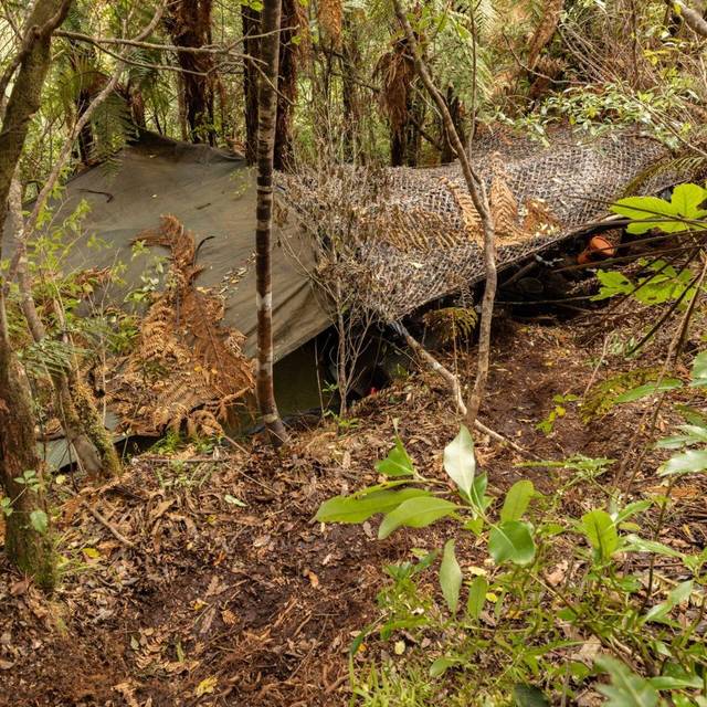 Versteck des Kindesentführers Tom Phillips in Neuseelands Wildnis