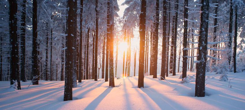 Winterzauber in Röhlinghausen