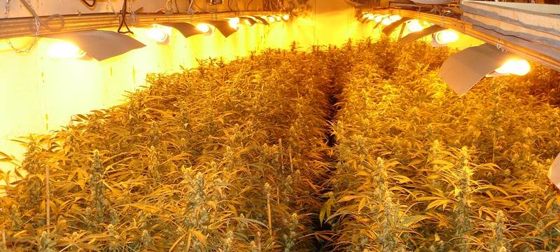 Herner wegen Drogen vor Gericht