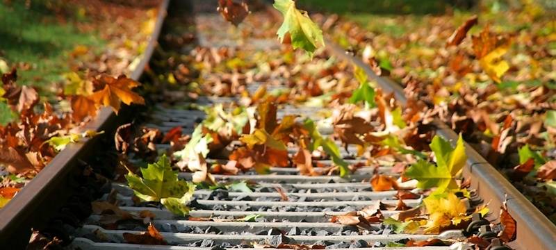 Gartenabfallaktion beginnt