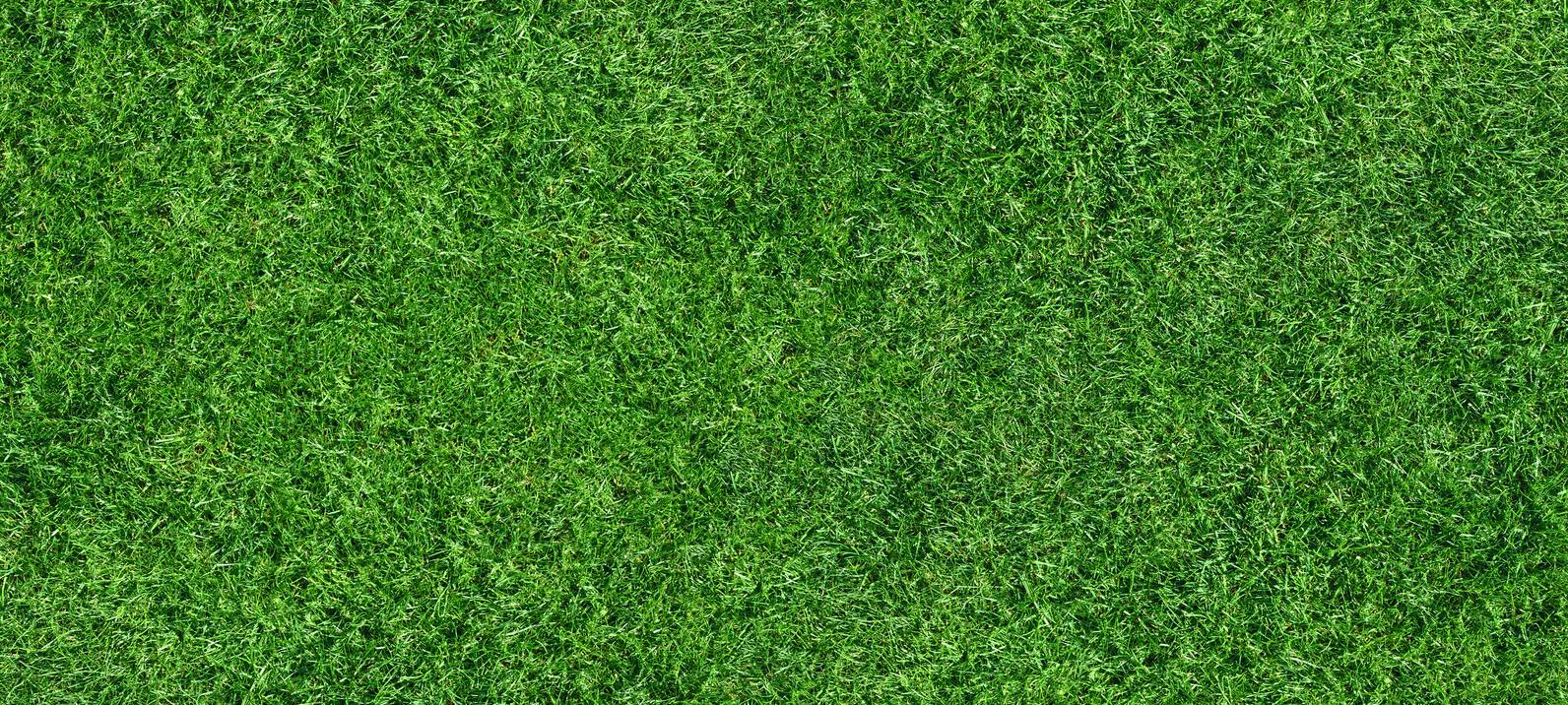 Greenkeeper des Jahres gesucht
