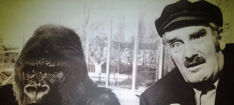 Vorverkauf für Tegtmeiers Erben beginnt