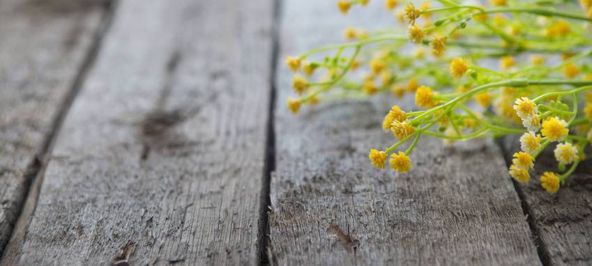 Steingärten ärgern viele Herner