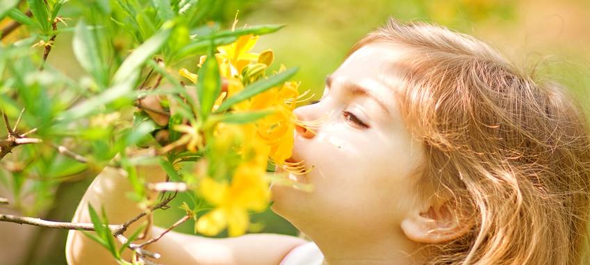 Zahlreiche Veranstaltungen in Herne und Wanne-Eickel