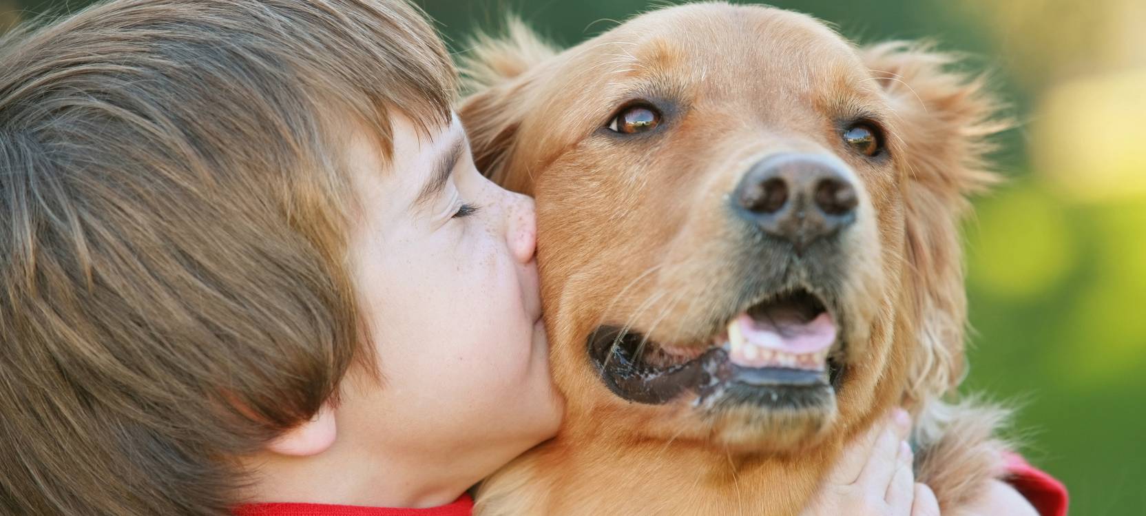 Tierschutzverein Herne Wanne zu Hundegesetz-Entwurf