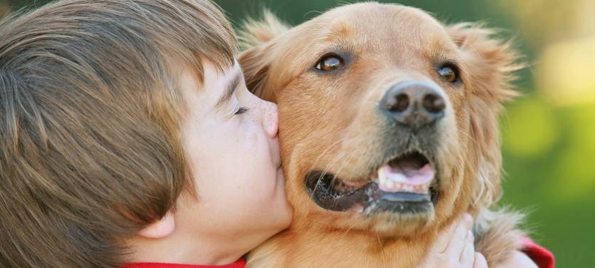 Erste Hilfe am Hund