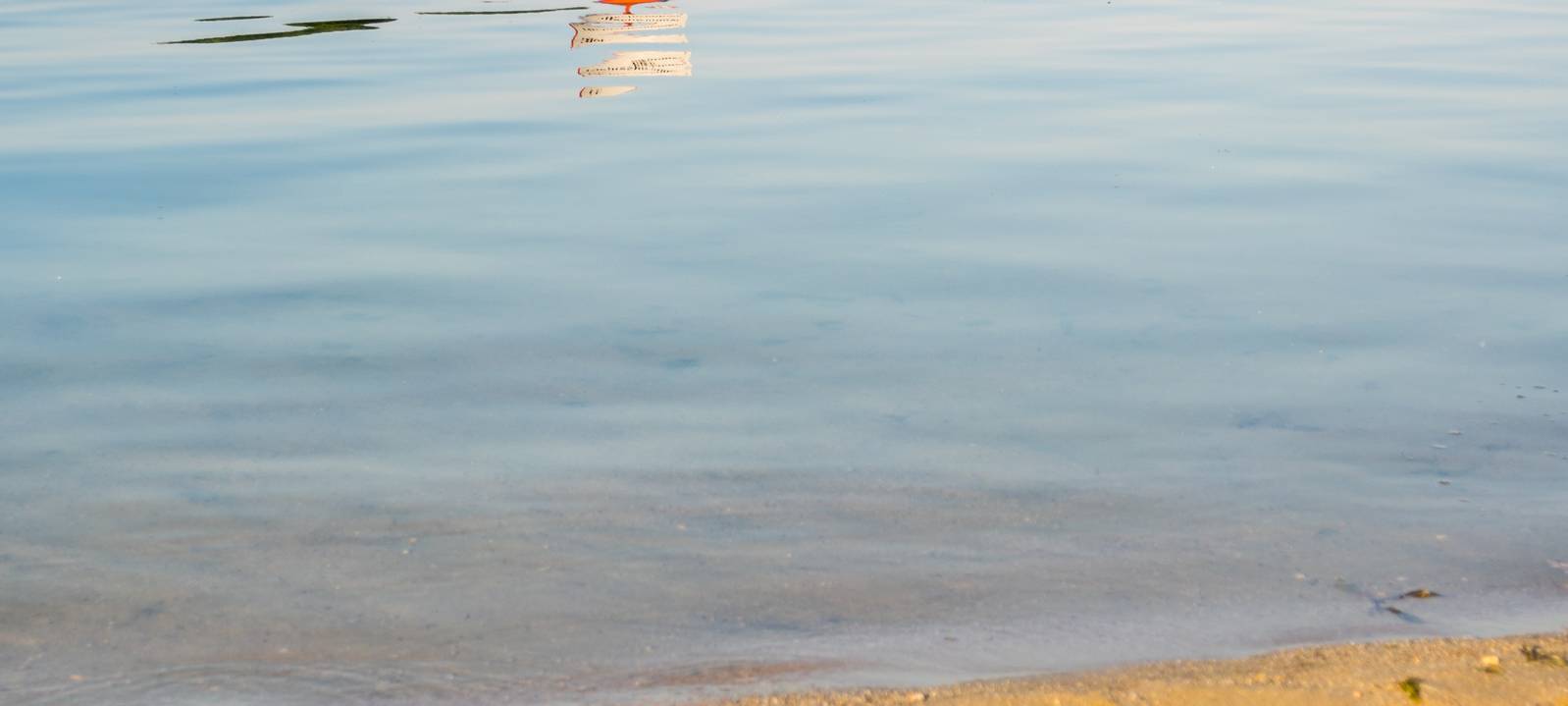Erster großer Einsatz für DLRG am Wochenende