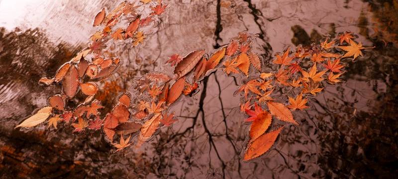 Herne besser auf starke Regenfälle vorbereiten