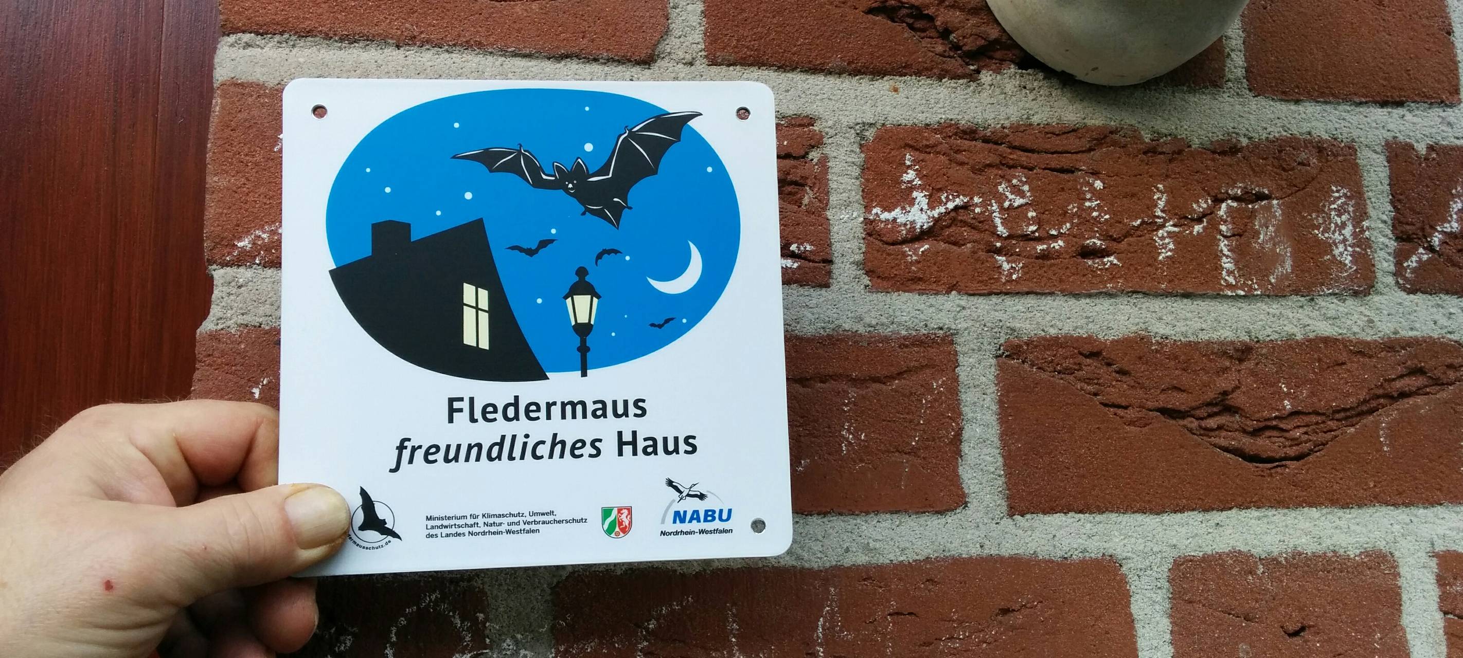 Biologische Station hilft Fledermäusen