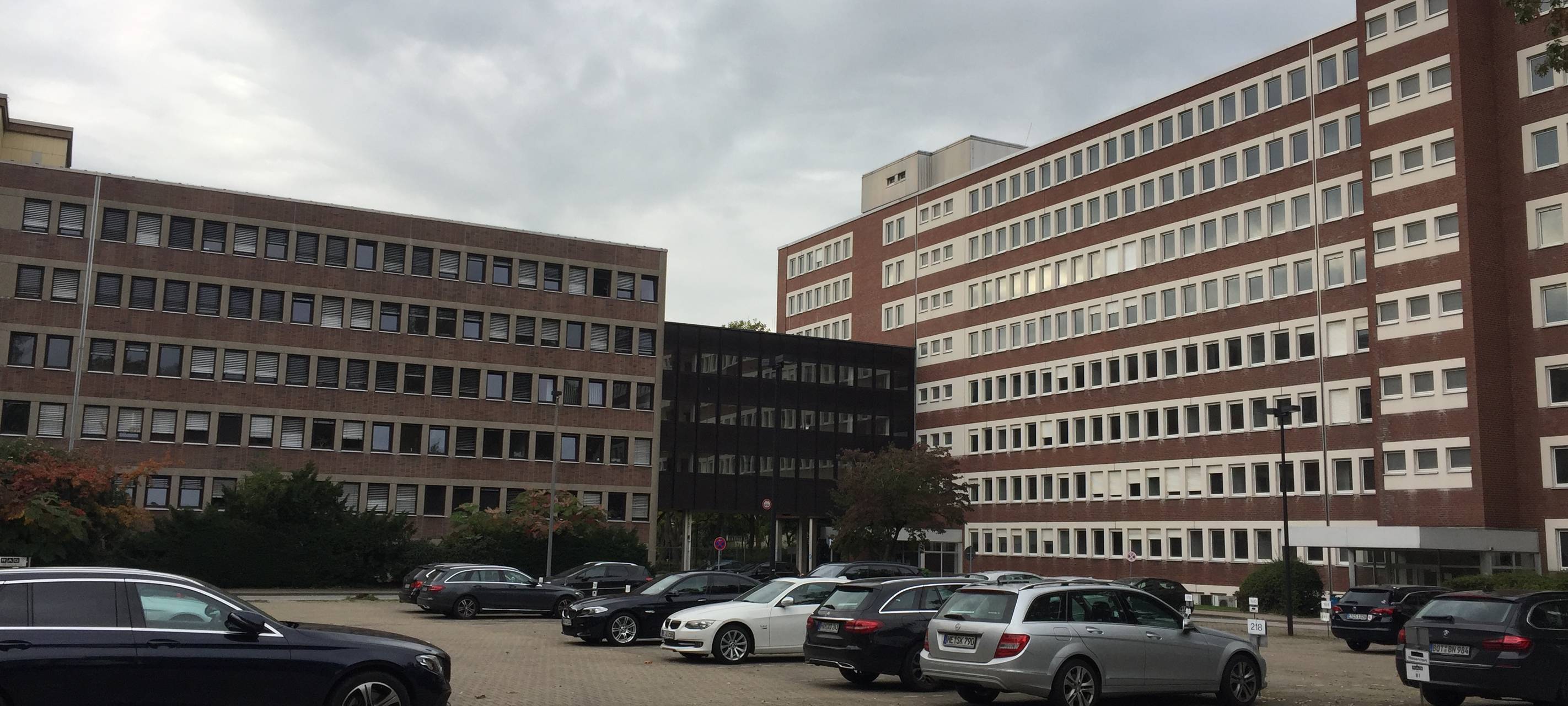 "Shamrockpark" kämpft um Fördermittel