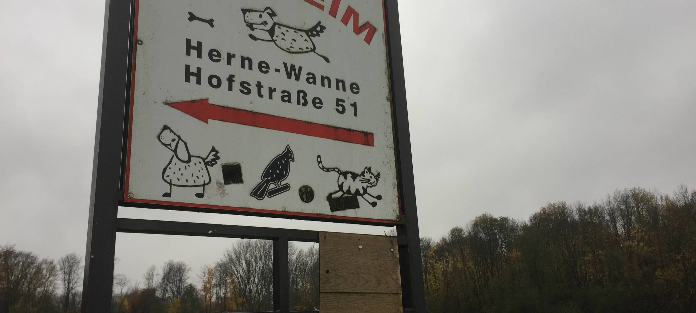 Tierheim Herne Wanne rettet sich mit Spenden