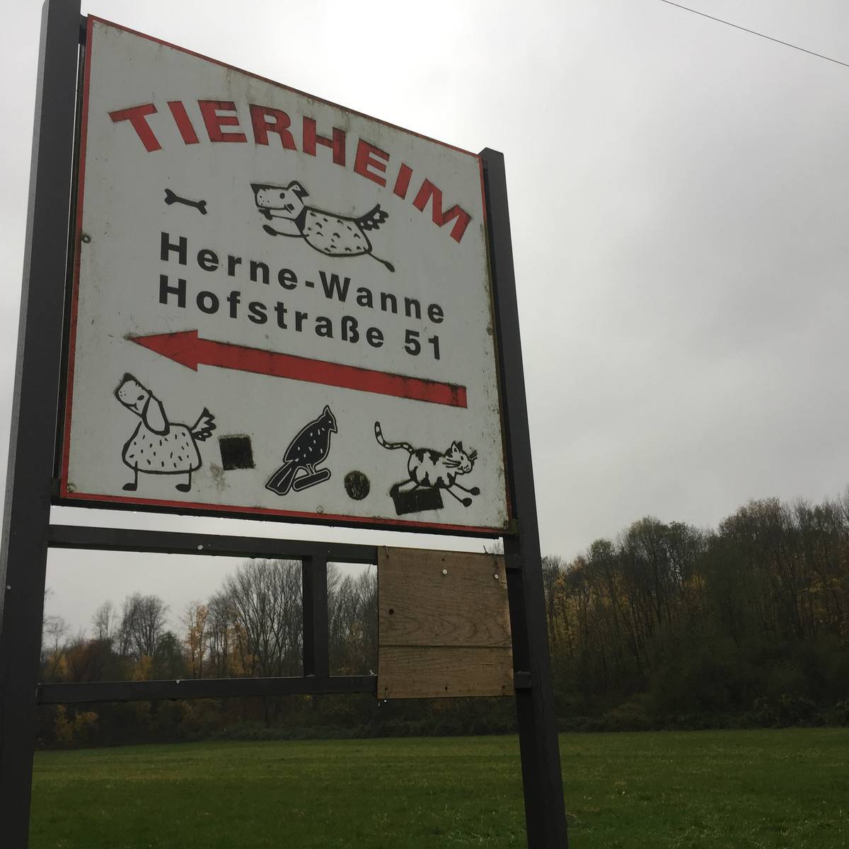 Tierheim Herne Wanne rettet sich mit Spenden Radio Herne