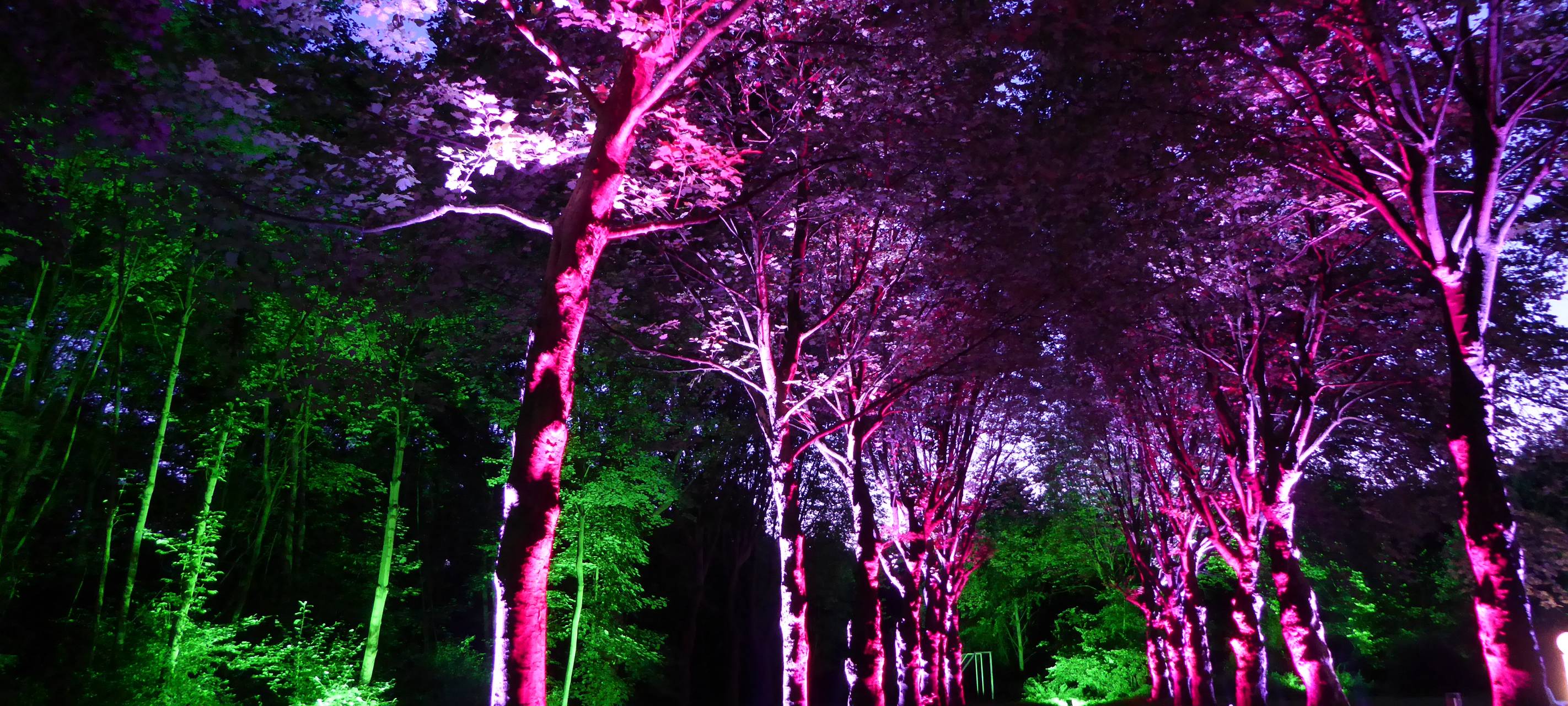 Weihnachtsmarkt im Kunstwald