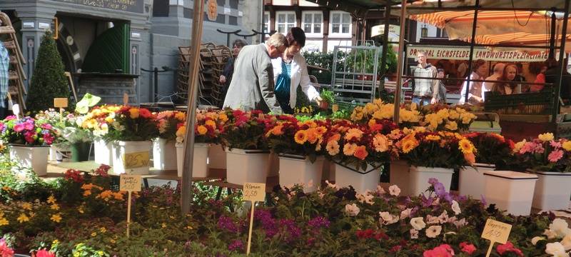 Zeichen für Nachhaltigkeit auf Wochenmärkten