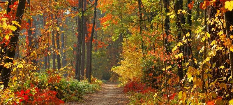Stadt Herne stellt Laubbehälter auf