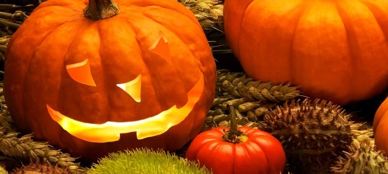 Stadt: Kinder sollten an Halloween nicht losziehen