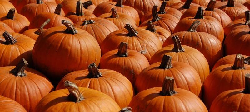 Was geht an Halloween?