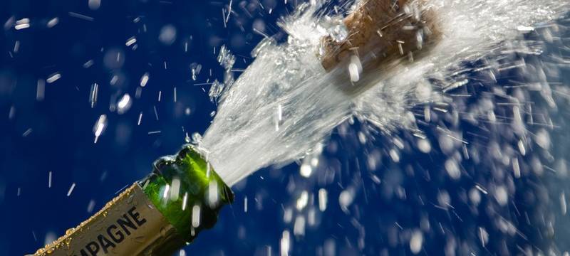 Tierheim Herne-Wanne hat vorgesorgt und sich auf die bevorstehende Silvesternacht vorbereitet.