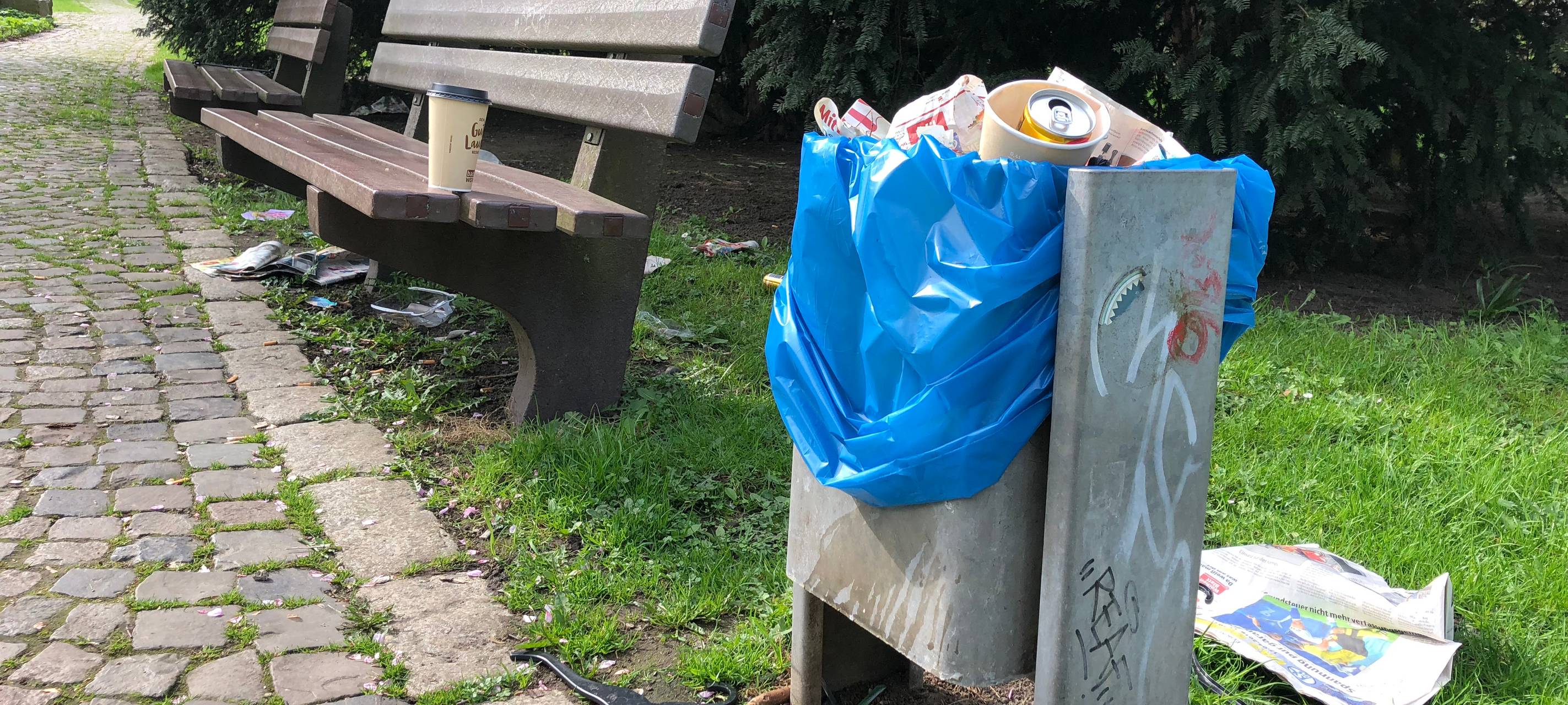 Grünfinken suchen Mitstreiter