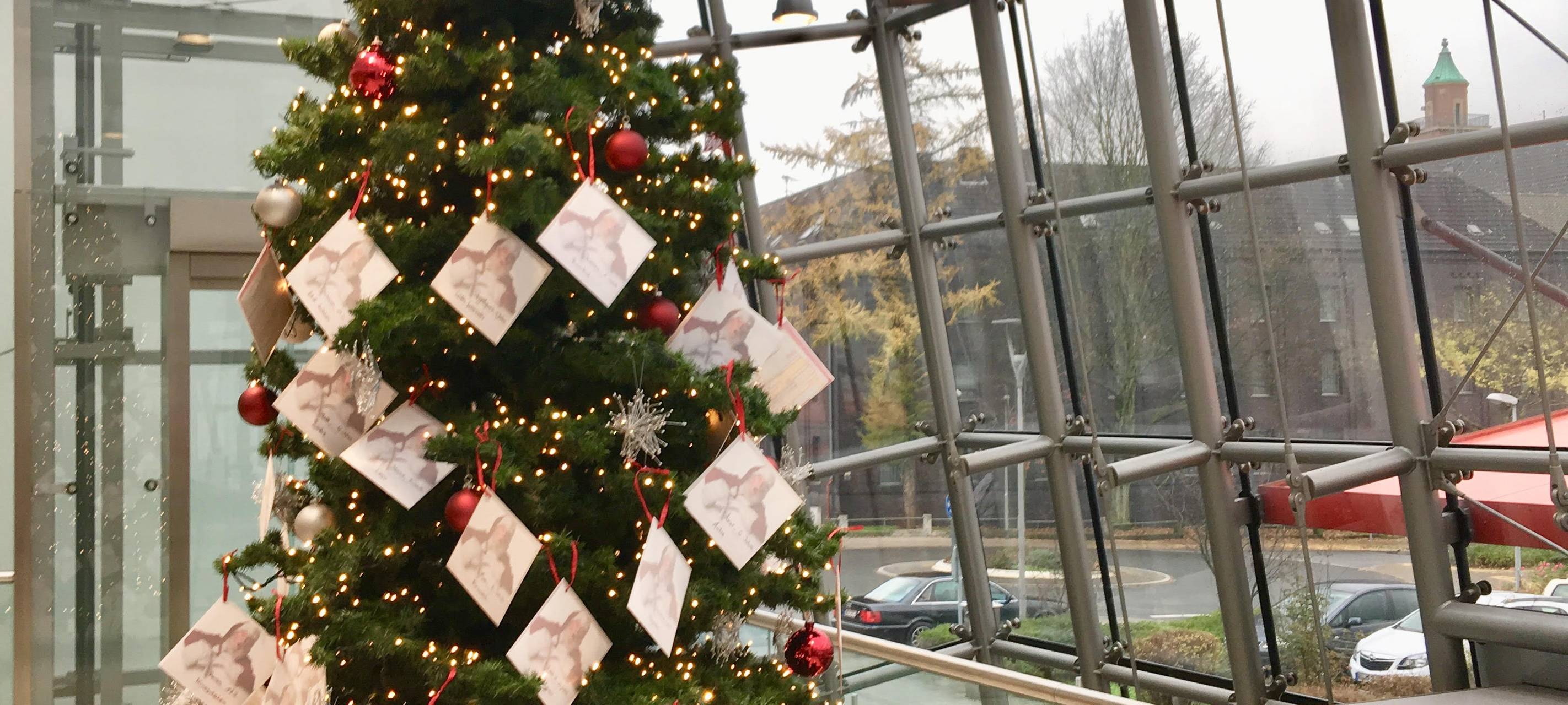 Wunsch-Weihnachtsbaum-Aktion war erfolgreich