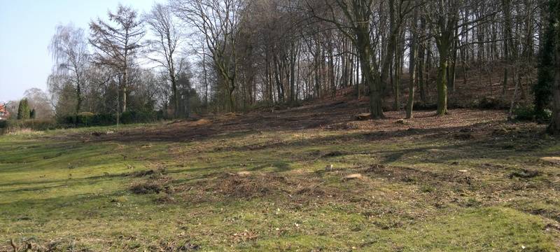 Bäume pflanzen am Volkspark