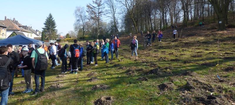 Baumpflanzaktion ( Symbolbild)