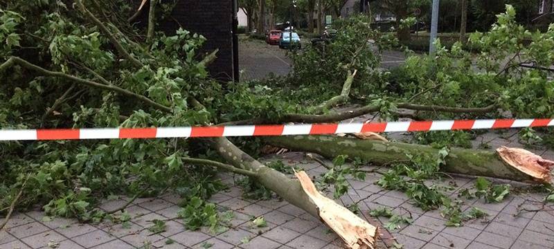 Viel zu tun für Feuerwehr