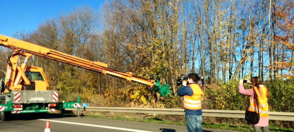 Die Baumfällarbeiten auf der A43 dauern an.