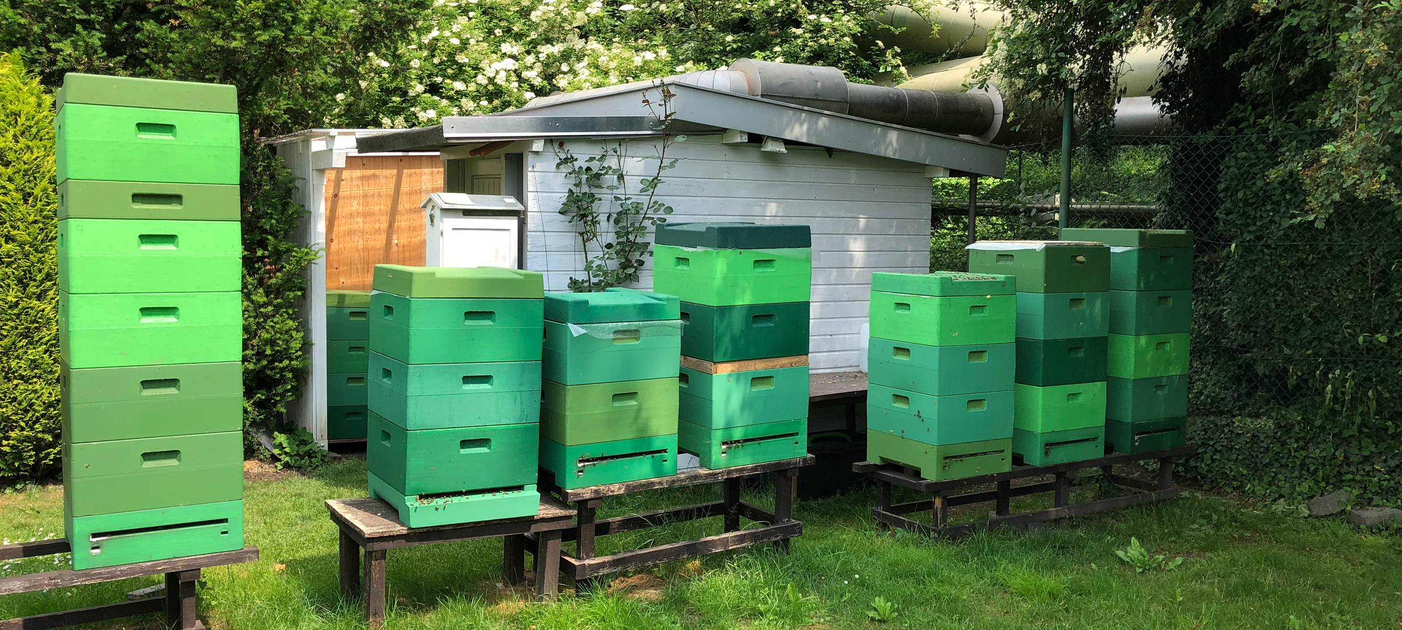 Faulbrut unter Kontrolle