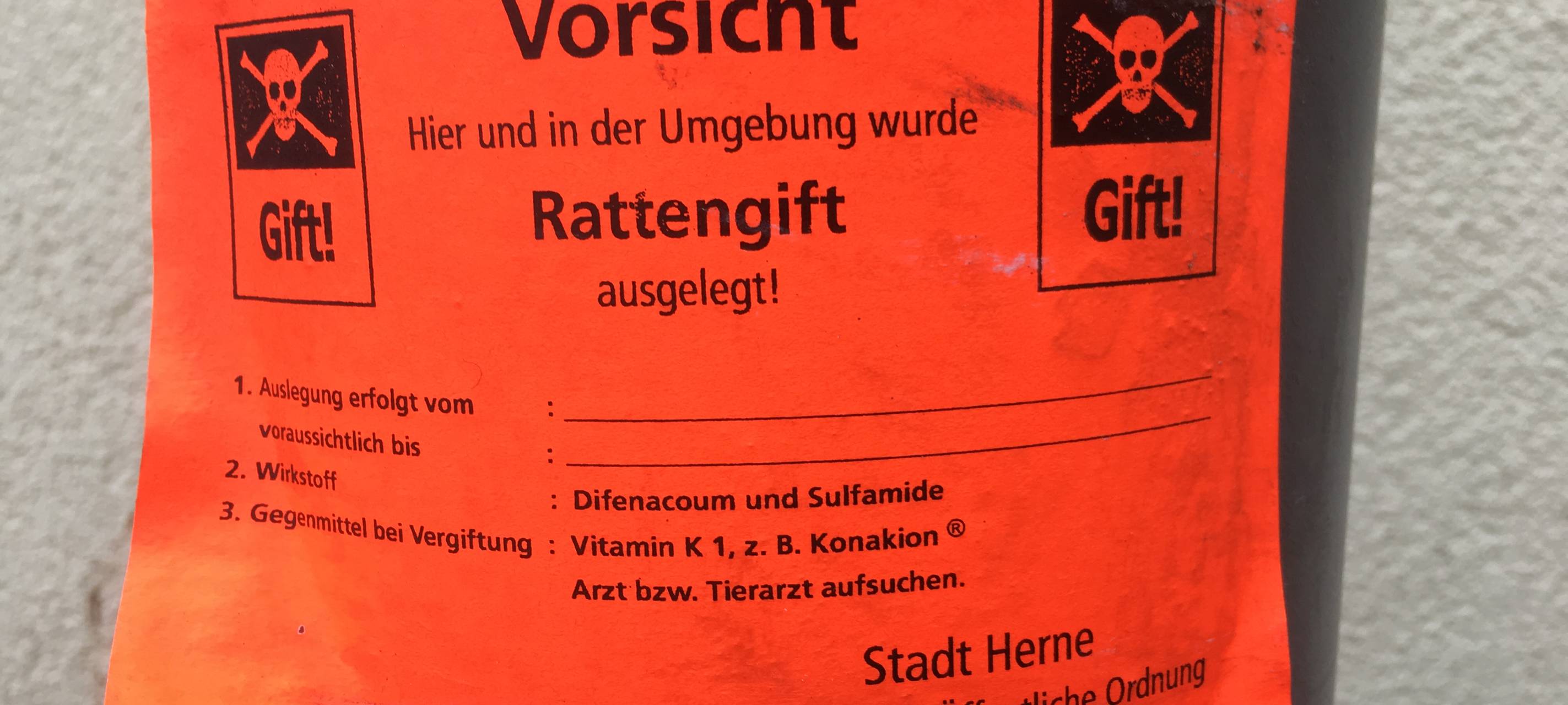 Ratten in Wanne: SPD unzufrieden mit Stellungnahme