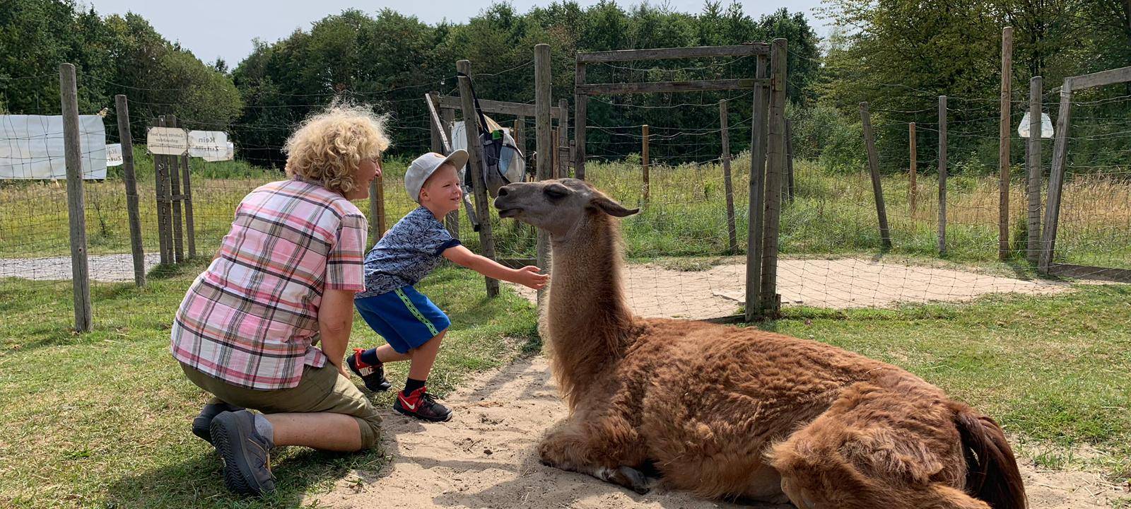 Ferienfee bei den Prachtlamas