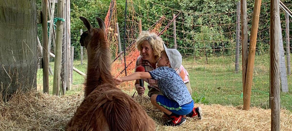 Ferienfee bei den Prachtlamas