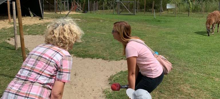 Ferienfee bei den Prachtlamas