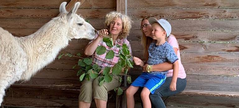 Ferienfee bei den Prachtlamas