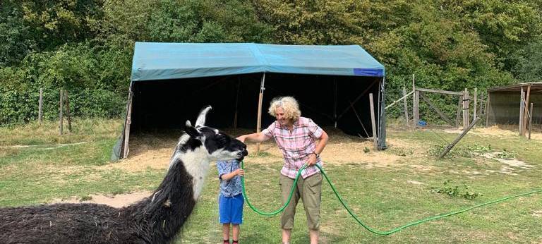 Ferienfee bei den Prachtlamas