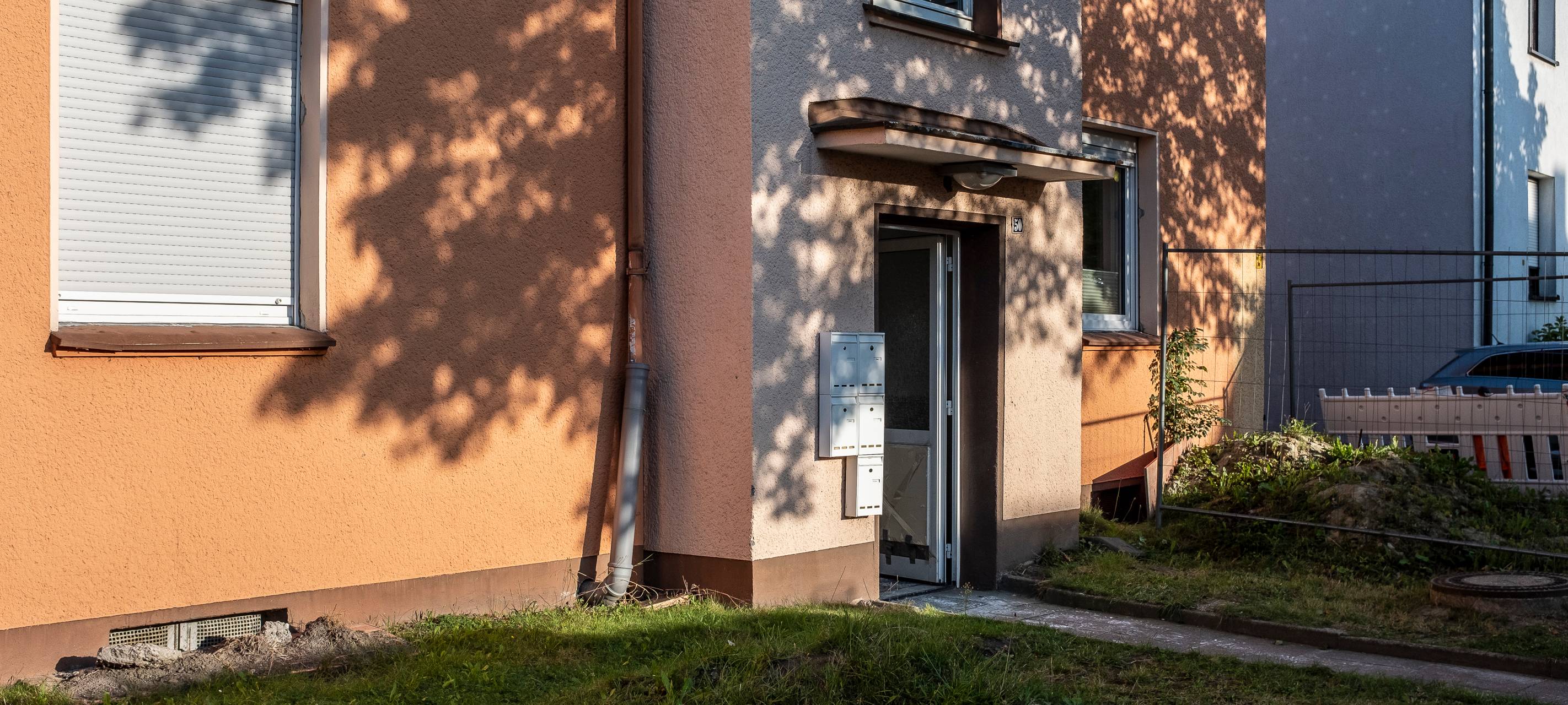 Schlange gefunden und eingefangen