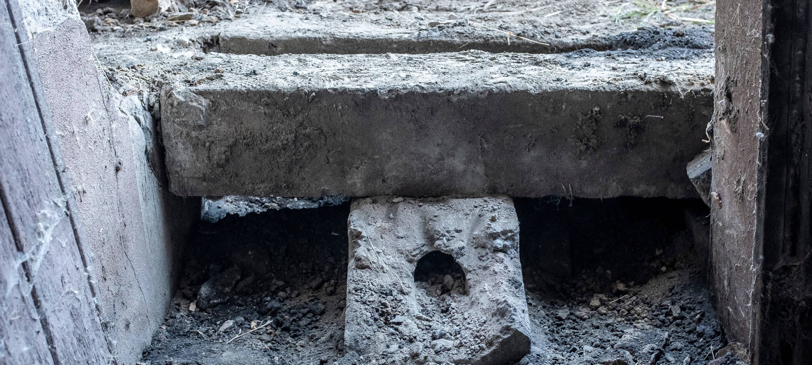 Schlange gefunden und eingefangen