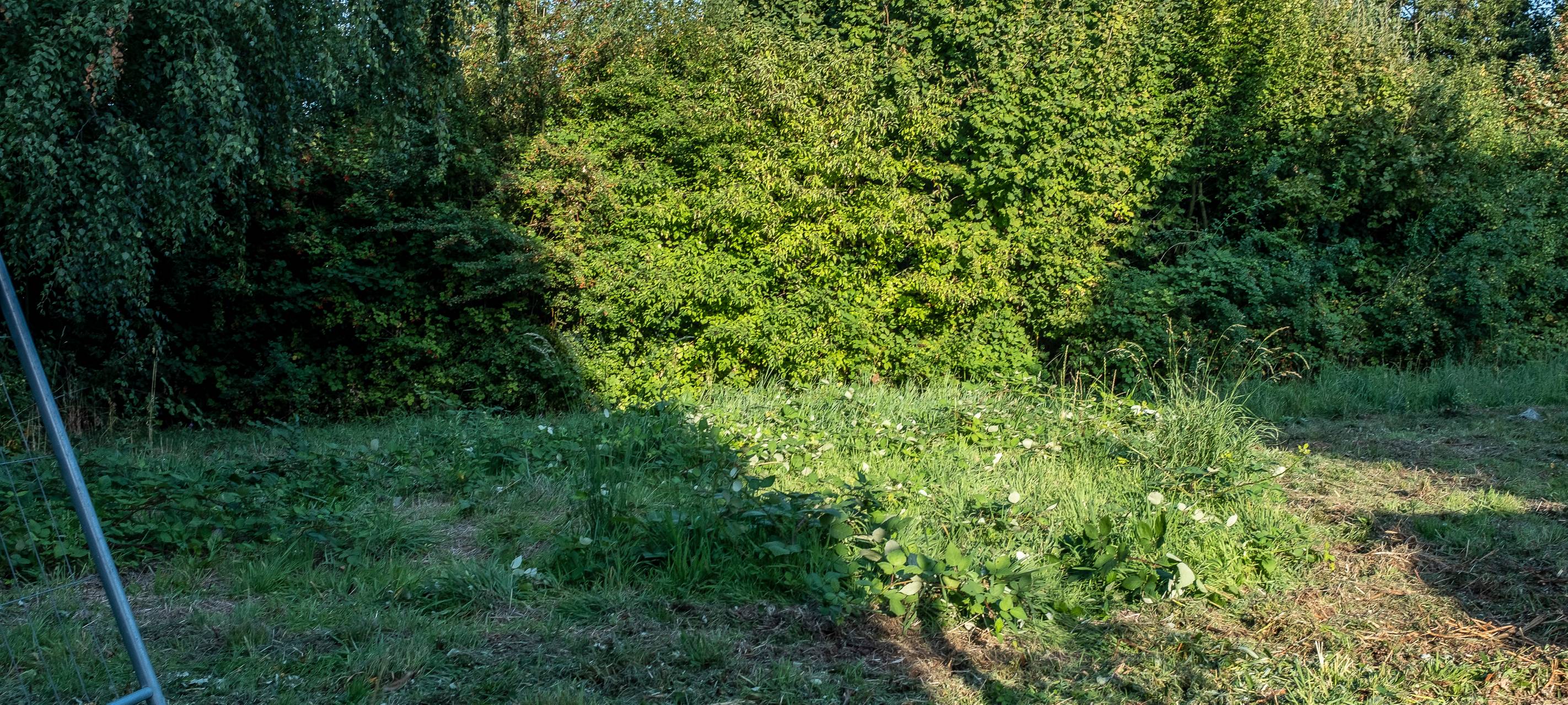 Schlange gefunden und eingefangen