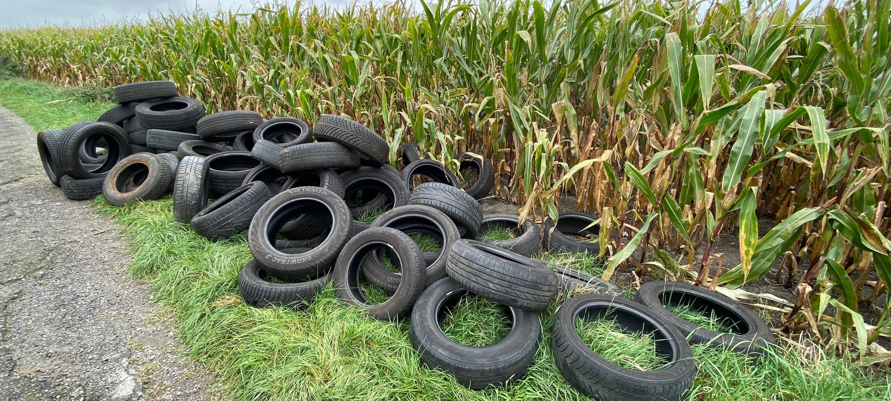 Illegal abgeladene Reifen neben einem Maisfeld.