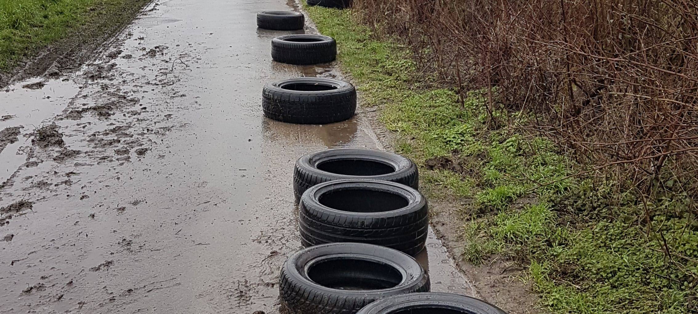 Umweltsünder immer dreister