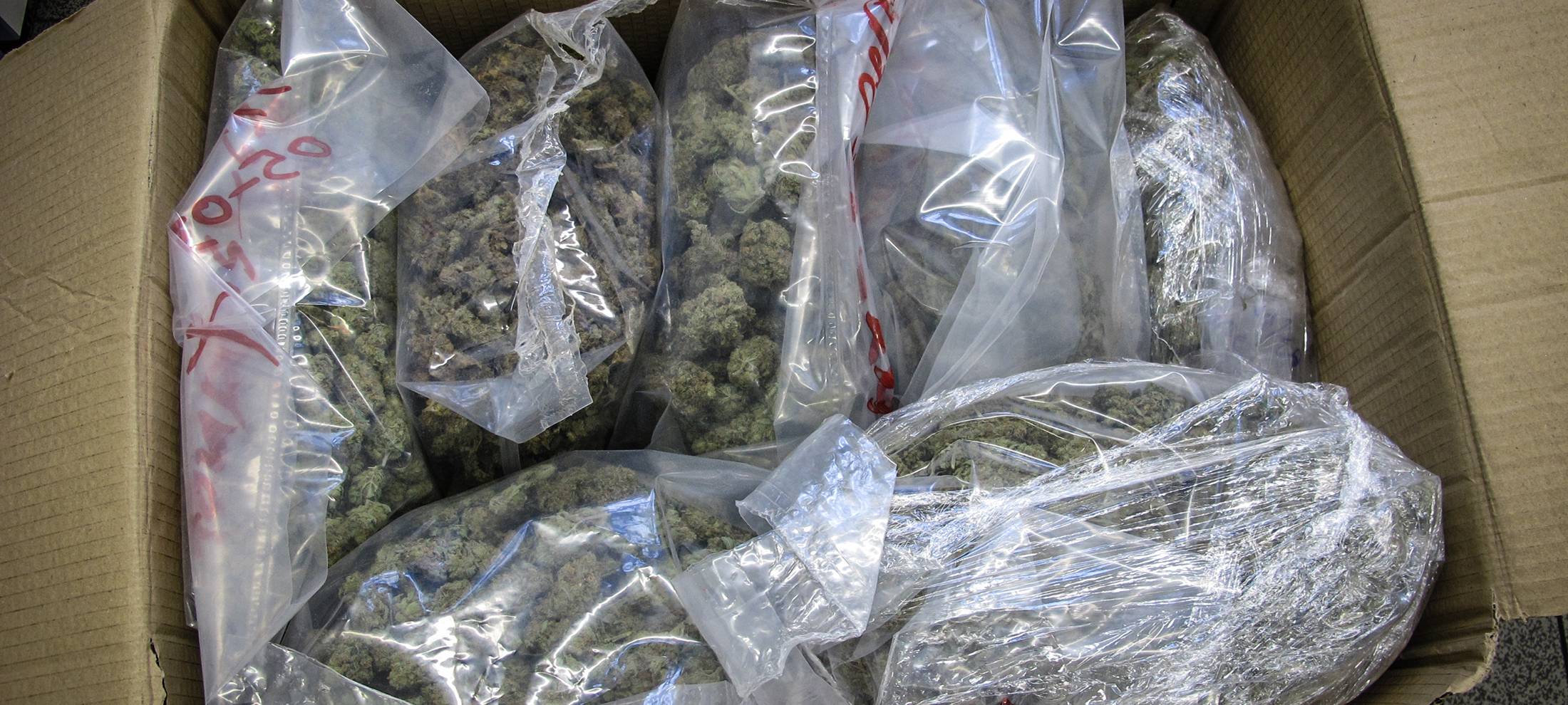 Gedenkstunde für Drogentote