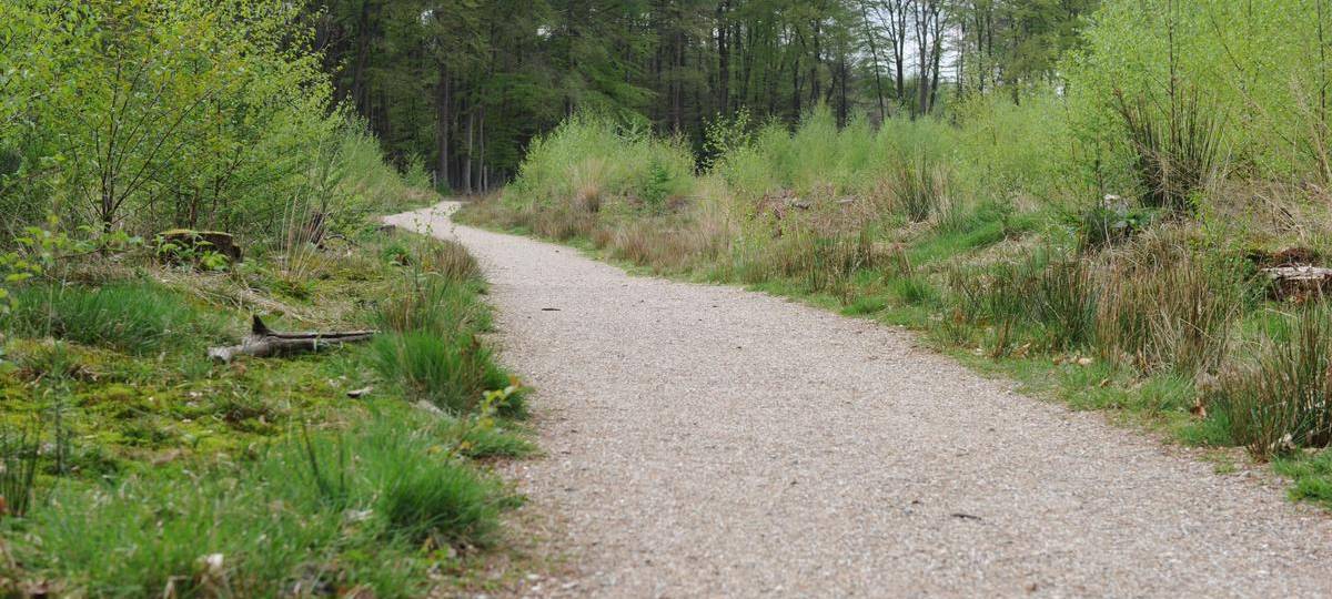 Laufstrecke am Kanal wird geprüft