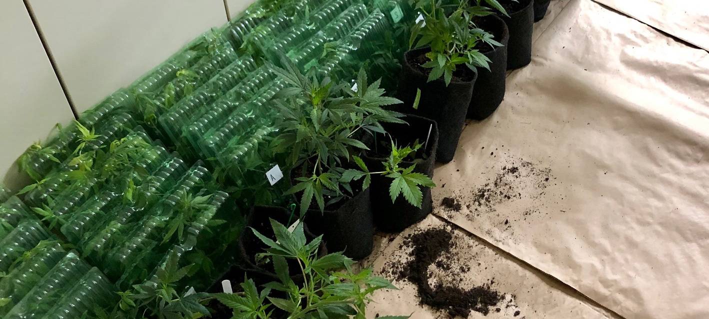 CDU begrüßt Cannabisverbot auf Crange