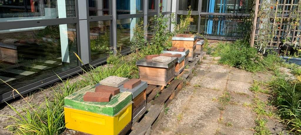 Wohlfühloase auf Schulhof der Hans-Tilkowski-Schule