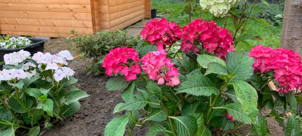 Wohlfühloase auf Schulhof der Hans-Tilkowski-Schule