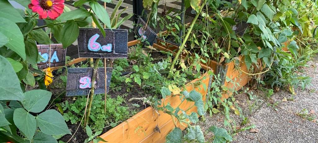 Wohlfühloase auf Schulhof der Hans-Tilkowski-Schule