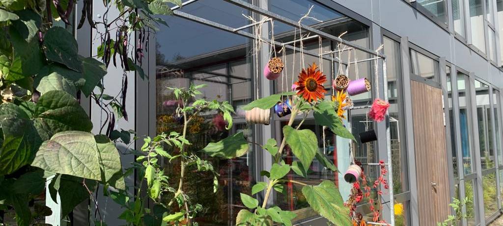 Wohlfühloase auf Schulhof der Hans-Tilkowski-Schule