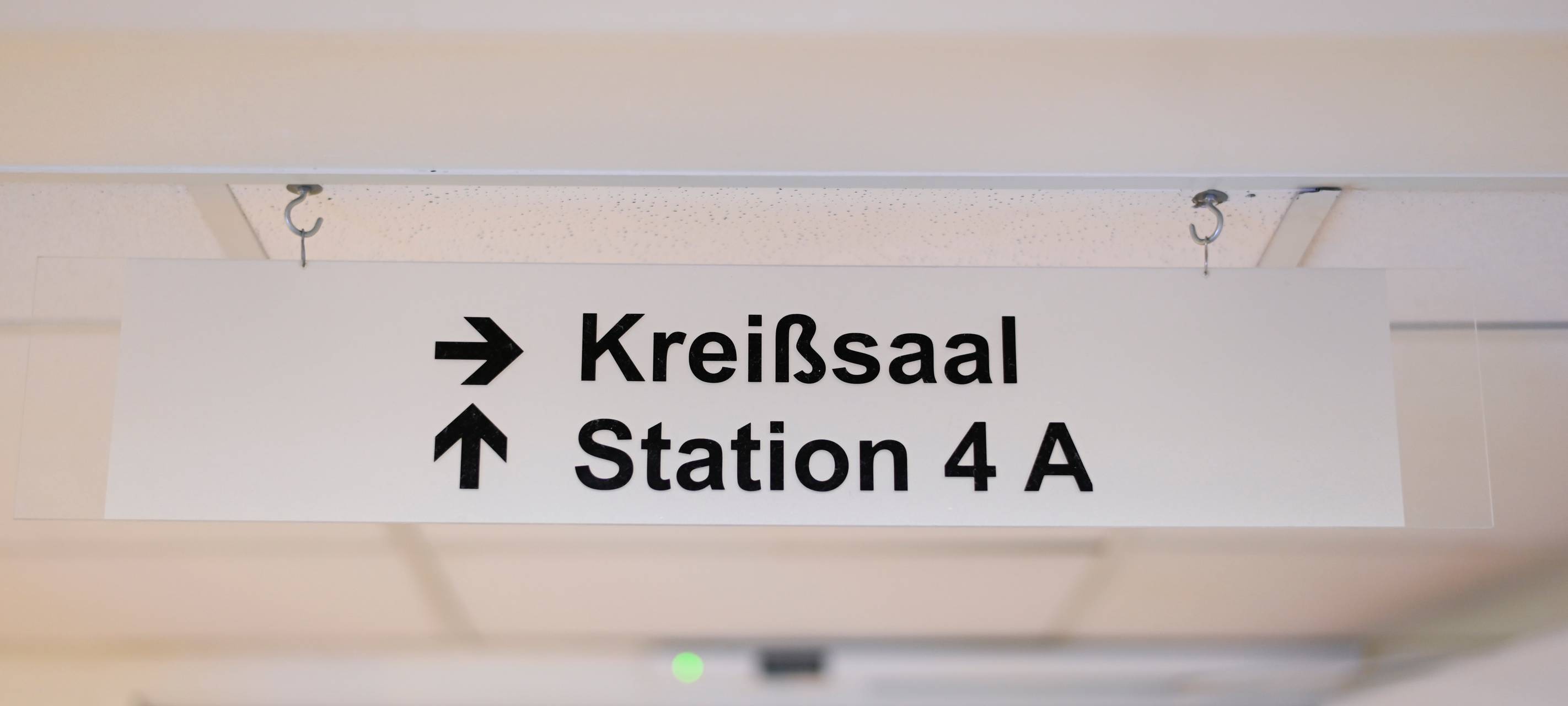 Hernerinnen bekommen viele Kinder
