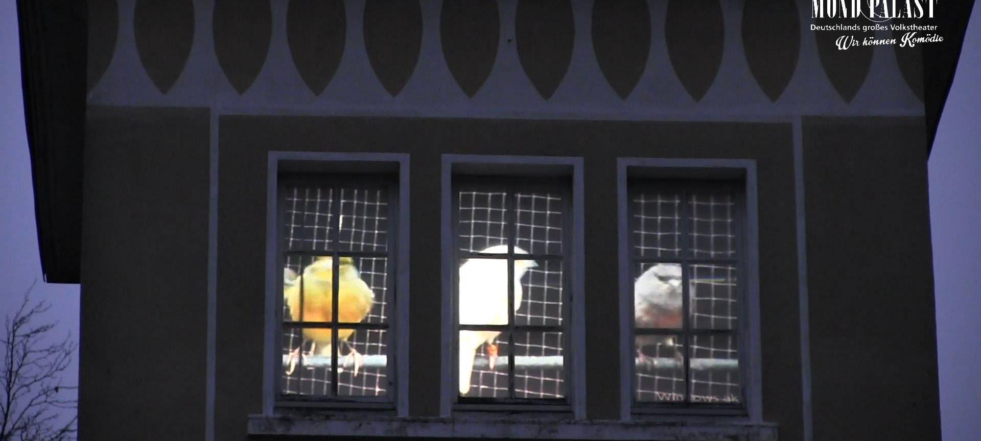 Kanarienvögel-Lichtinstallation am Mondpalast