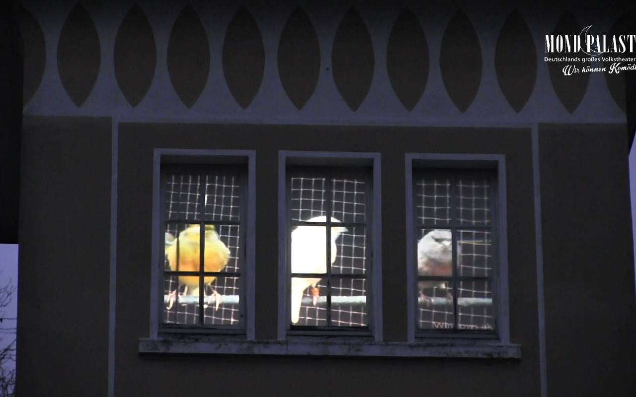 Kanarienvögel-Lichtinstallation am Mondpalast